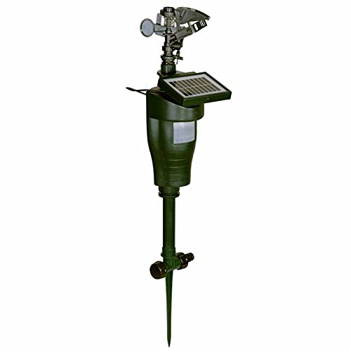 Chorro agua con sensor de movimiento Lild