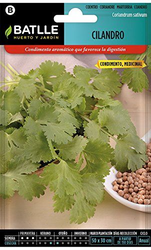 Semillas de cilantro en Mercadona - Comprar Online