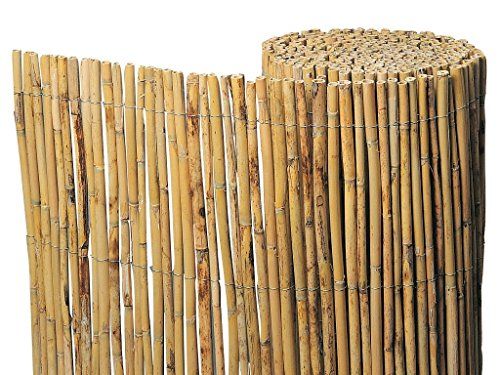 Cañizo bambu Bricodepot