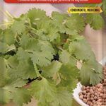 Donde comprar cilantro  Mercadona - Catálogo Online