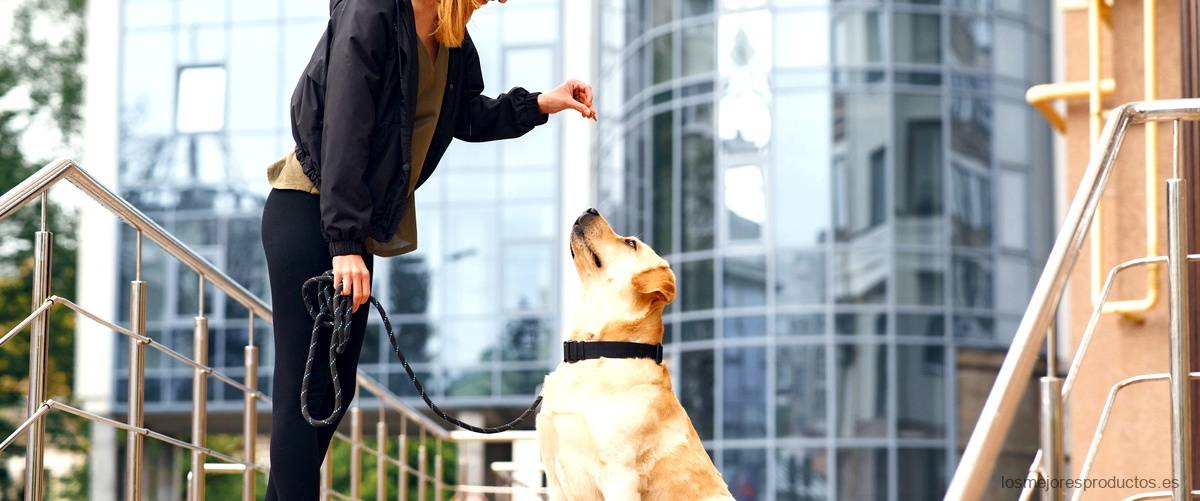 Accesorios para mascotas en Ikea: escaleras para perros