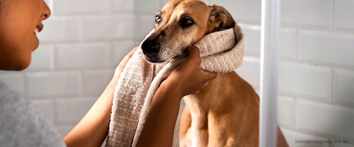 Acondicionador para perros Mercadona: el cuidado que tu mascota se merece