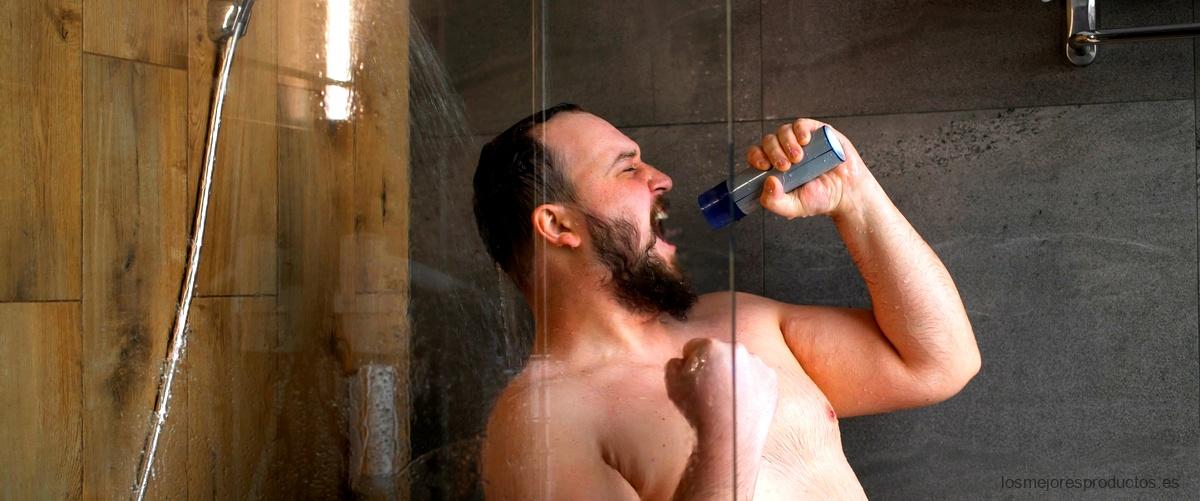 Agarrador de ducha con ventosa: ideal para personas mayores y con movilidad reducida