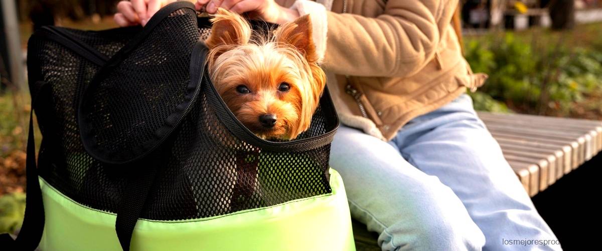 Alcampo y su cochecito para perro: el accesorio ideal para pasear con estilo y comodidad