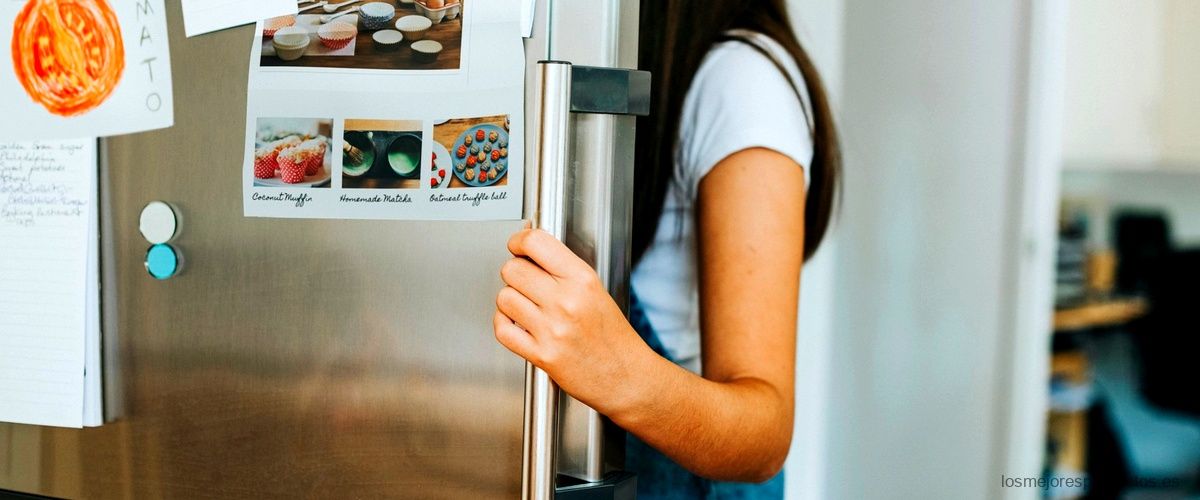 Aprovecha al máximo el espacio de tu frigorífico con un cajón congelador universal