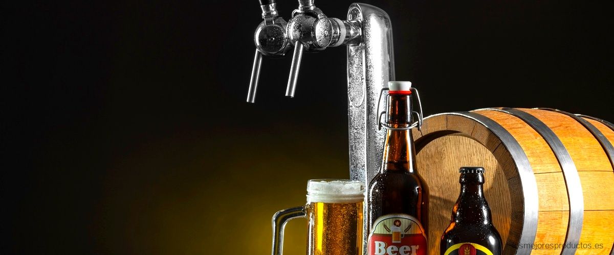 Barriles de cerveza de 2 litros Krups: la opción ideal para reuniones y fiestas