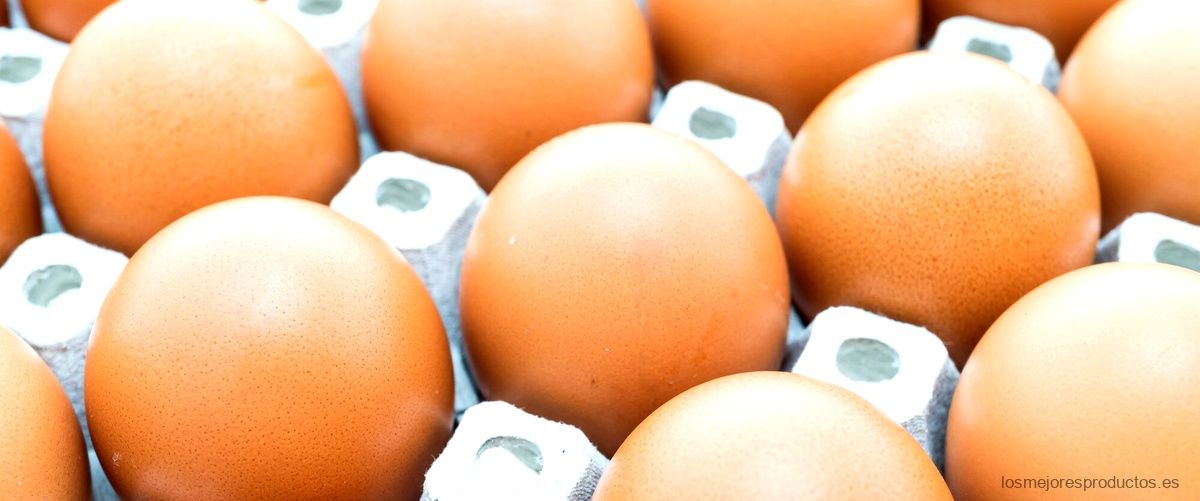 Beneficios de incluir butifarra de huevo mercadona en tu dieta matutina