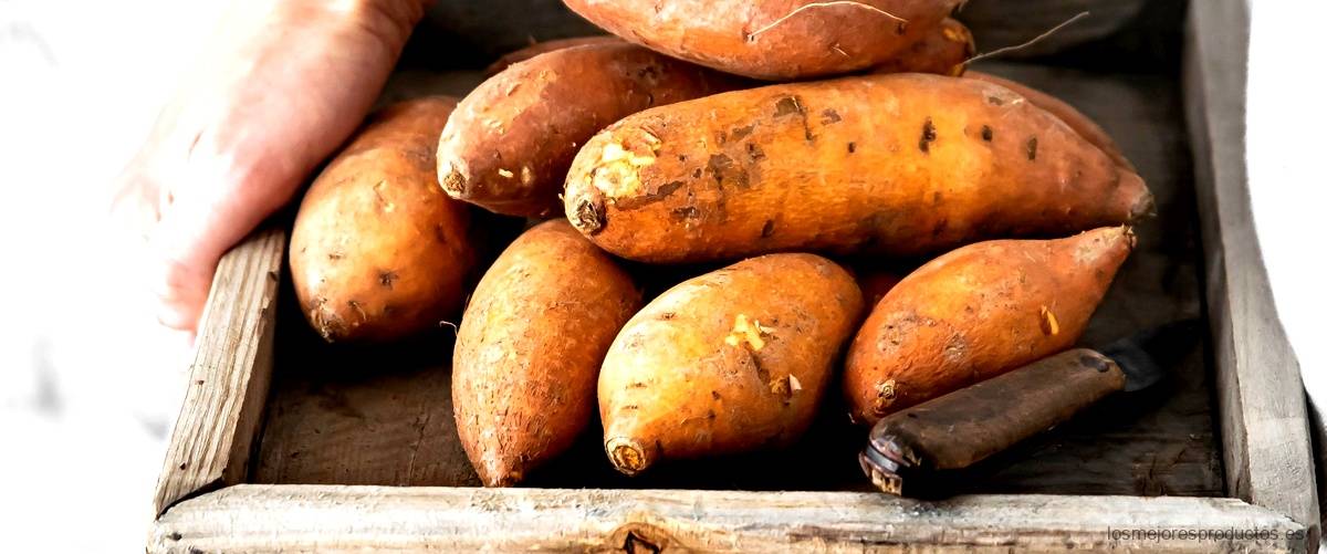 Beneficios de la proteína de patata para la salud