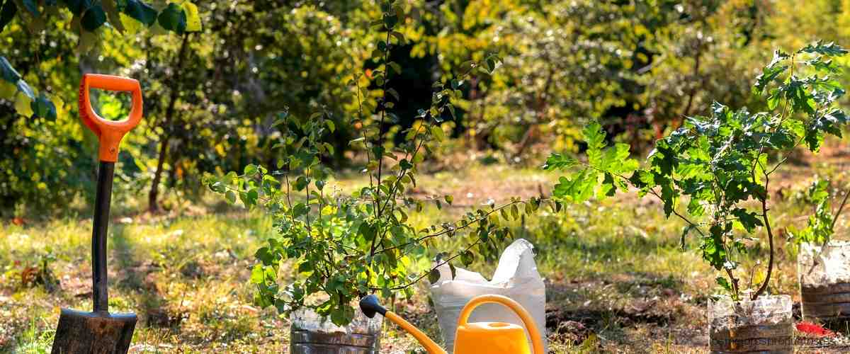 Beneficios de utilizar Ferramol antilimacos en el jardín contra los caracoles