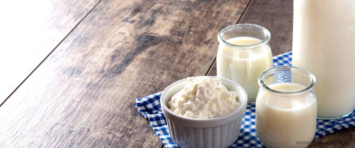 Beneficios del yogur griego sin lactosa