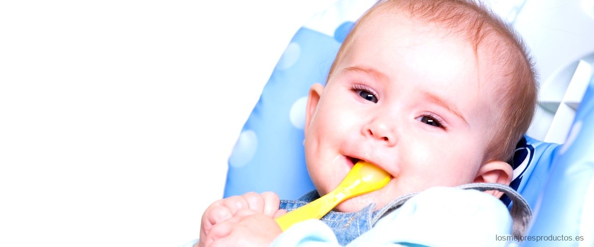 Bol antivuelco para bebé: la solución perfecta para evitar accidentes