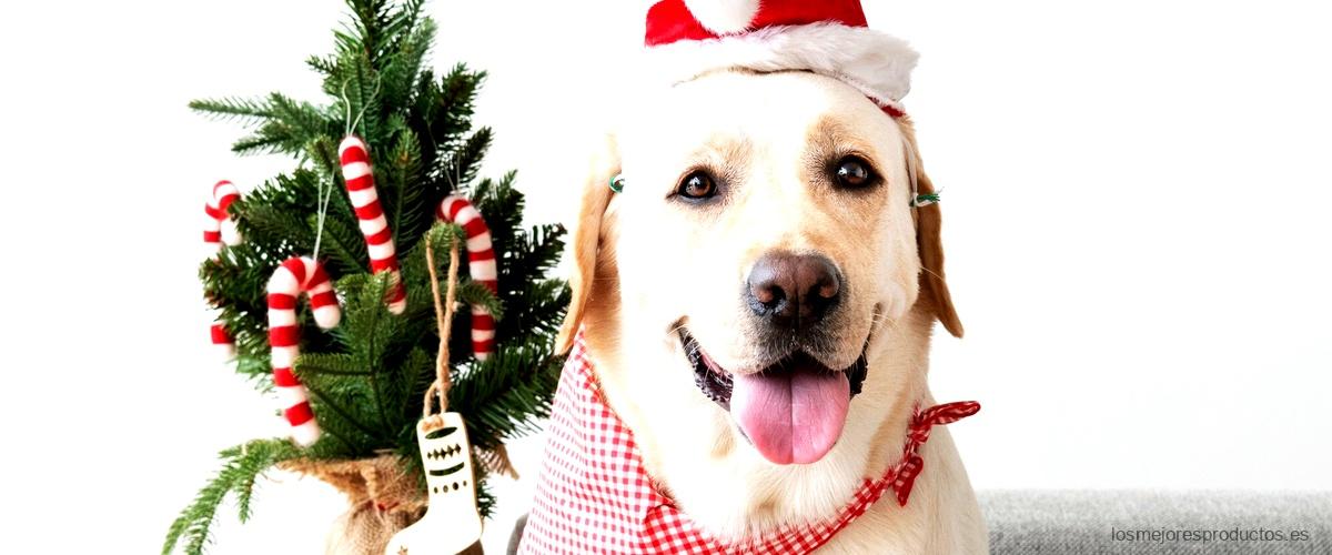Calendario de Adviento para perros Lidl: ¡una forma divertida de mimar a tu mascota!