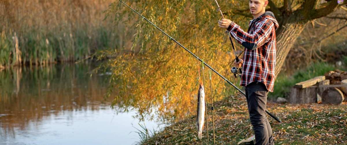 Cañas de pescar de alta calidad en El Corte Inglés: encuentra la ideal para ti