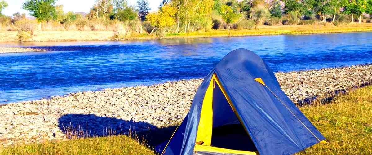 Carpas con mosquitera: La opción ideal para acampar en familia.