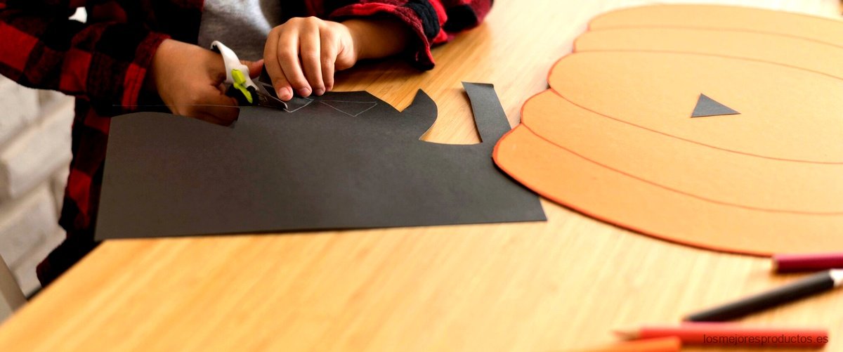 Carpetas infantiles para guardar trabajos: ¡Organización y creatividad en un solo lugar!