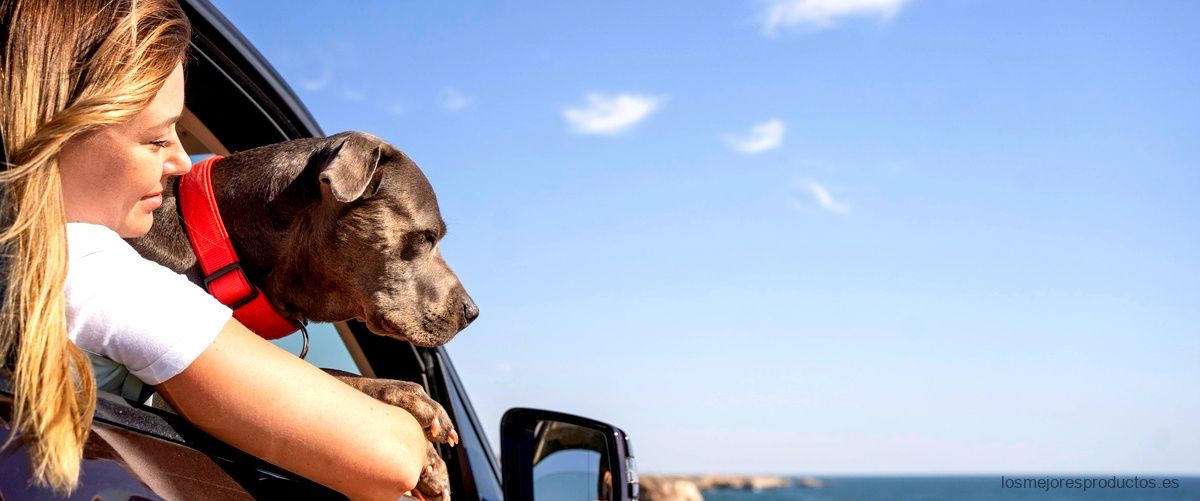 Carros para perros de segunda mano cerca de Badalona: ¡encuentra el tuyo!