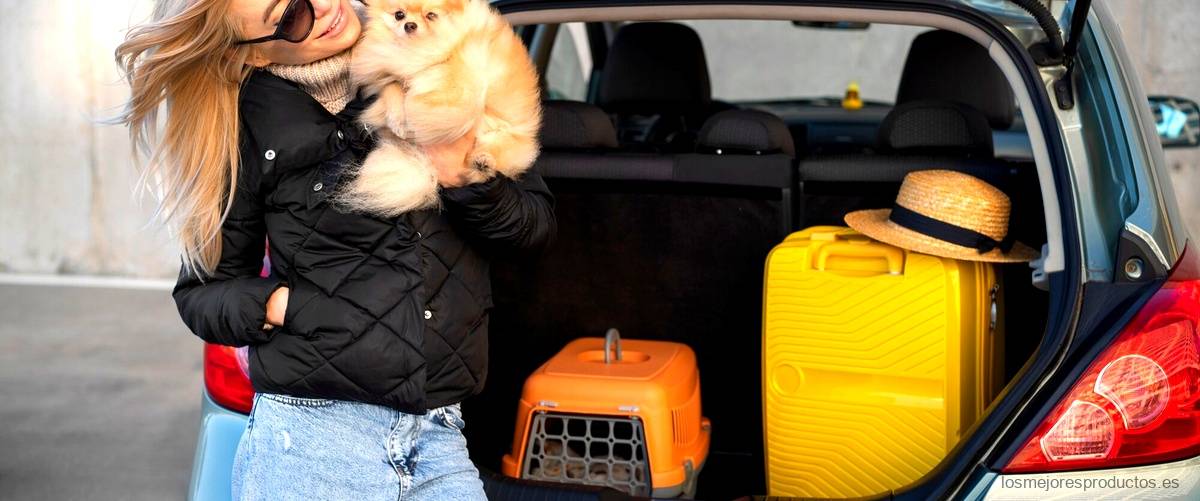 Carros para perros de segunda mano en Toledo: ahorra dinero y cuida a tu mascota