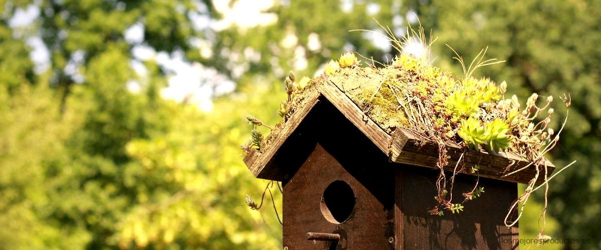 Caseta de jardín usada: una opción económica para guardar tus herramientas