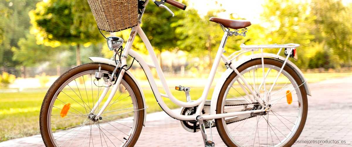 Cesta de bicicleta en Lidl: práctica y funcional para tus desplazamientos