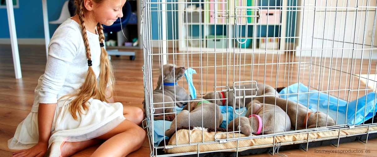 ¿Cómo comprar una jaula para perros?