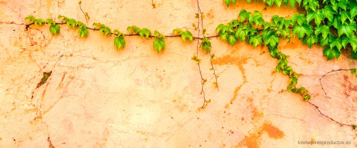 Cómo decorar un muro de hormigón en tu jardín