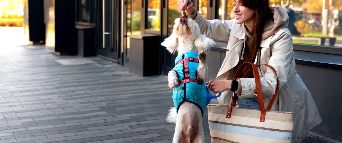 Cómo facilitar el acceso a tu perro con escaleras Ikea