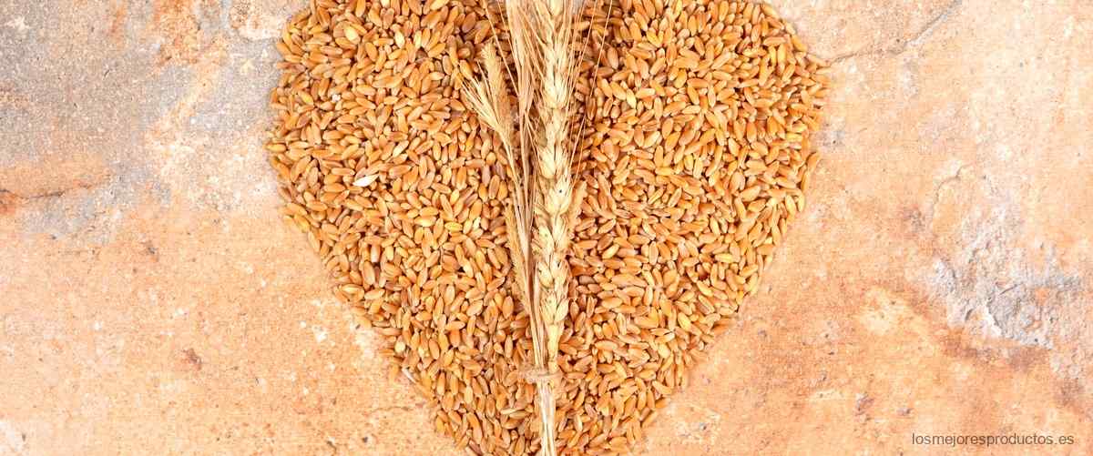  Cómo incorporar el salvado de trigo Lidl en tu alimentación de manera saludable 