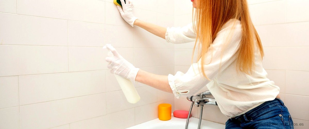 ¿Cómo limpiar los azulejos rugosos del baño?