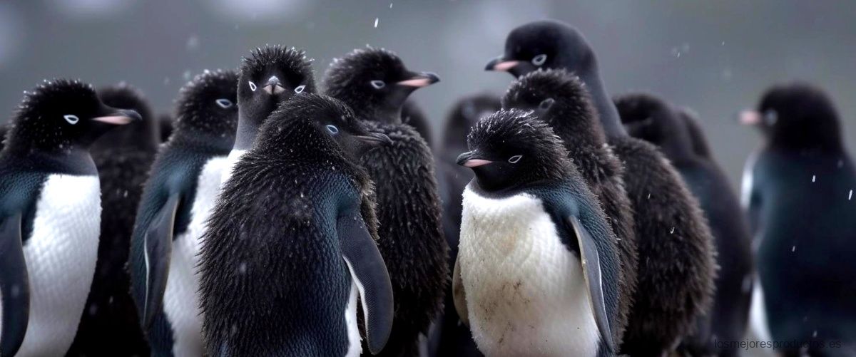 ¿Cómo se carga el Satisfyer Penguin?