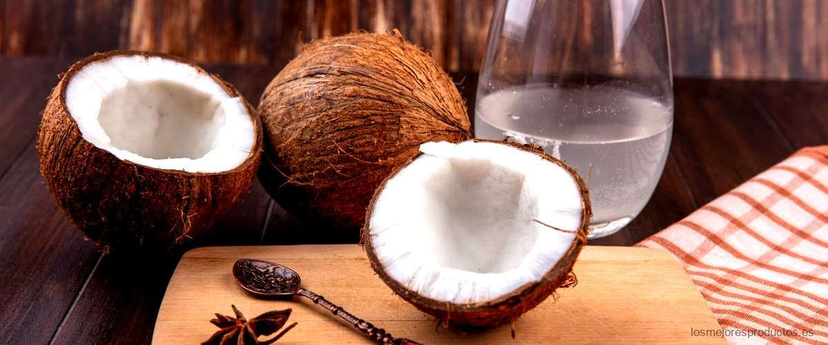 ¿Cómo se dice Coconut aminos en español?