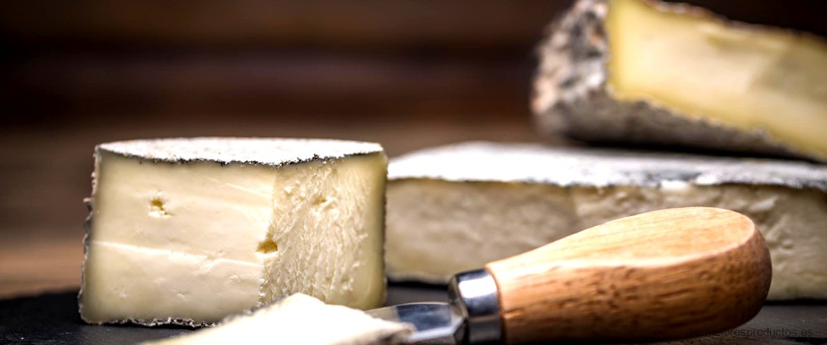 ¿Cómo se elabora el queso Munster?