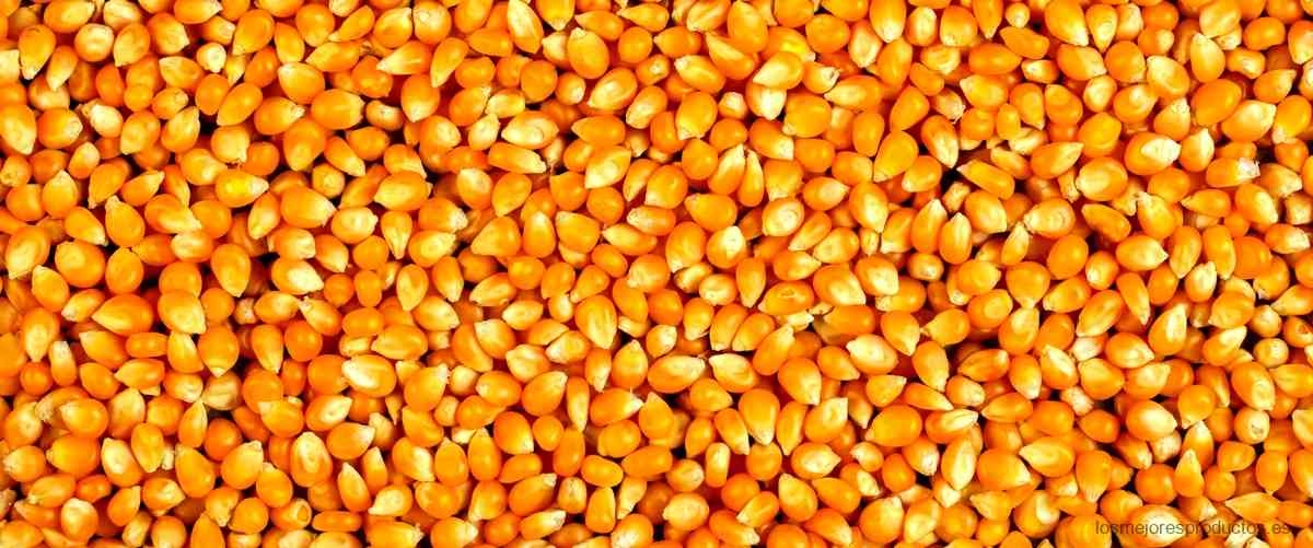¿Cómo se llama la harina de maíz en España?