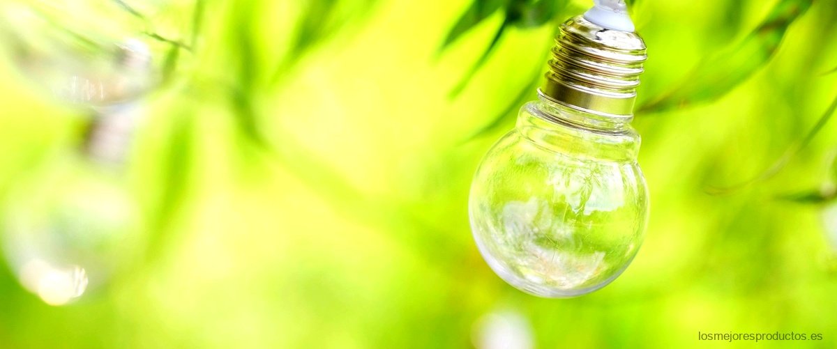 ¿Cómo se llaman las lámparas que se cargan con energía solar?