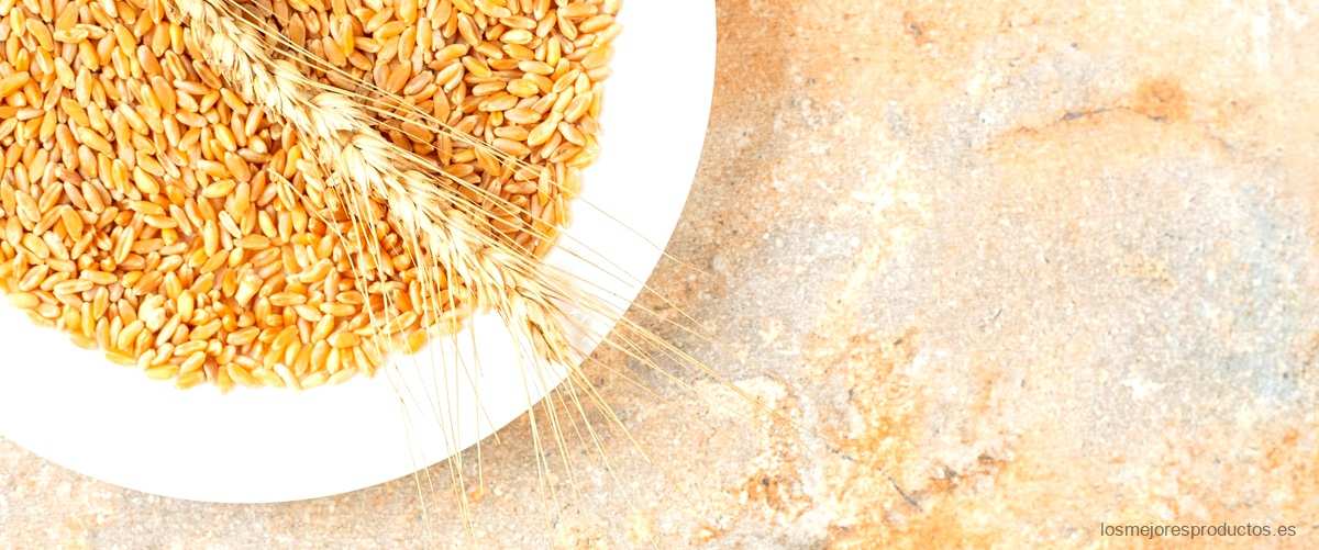 ¿Cómo se toma el germen de trigo para el estreñimiento?