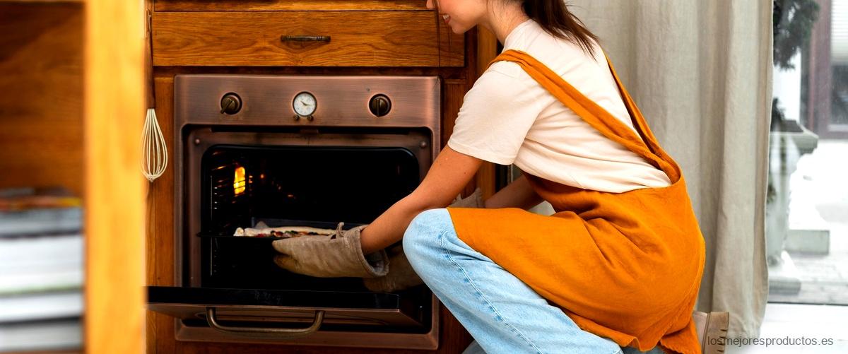 Horno Teka HI 435 la solución perfecta para cocinar Los mejores