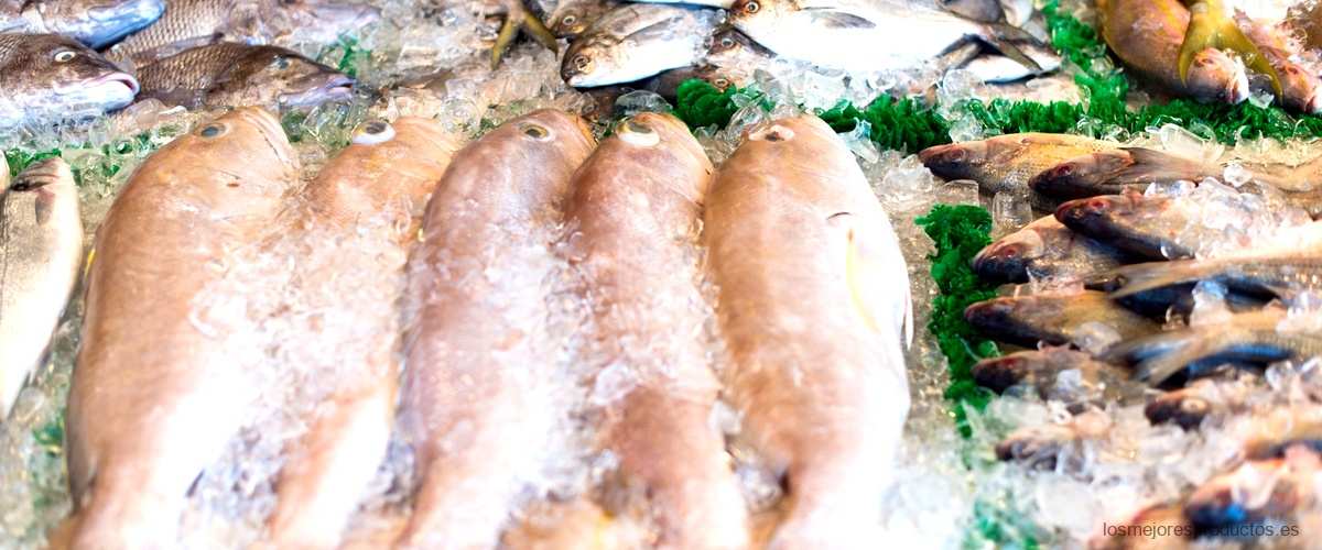 ¿Con qué frecuencia se les da de comer a los peces de agua fría?