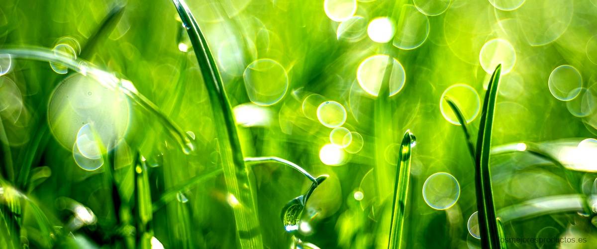 Conoce la innovación de Fresnatur Biogreen en colchones naturales