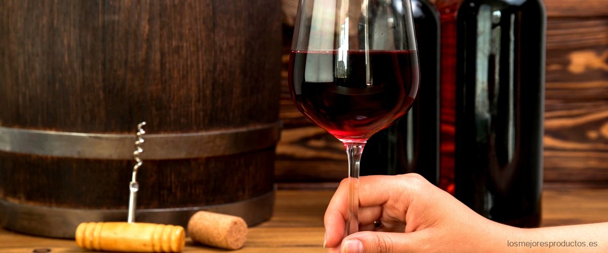 Conserva tus vinos en las mejores condiciones con la vinoteca Ansonic