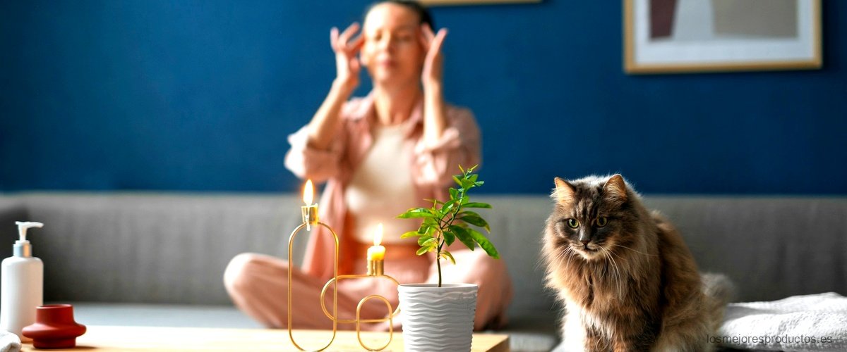 Convierte tu hogar en un paraíso para gatos con el árbol de Ikea