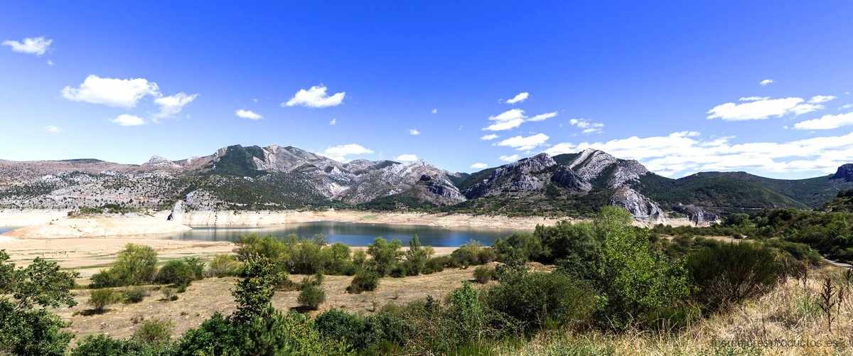 Cortes precisos con el arco de sierra de Leroy Merlin