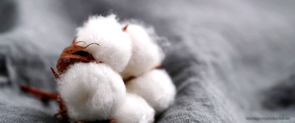 Cotton Crops: La marca que está transformando la moda sostenible