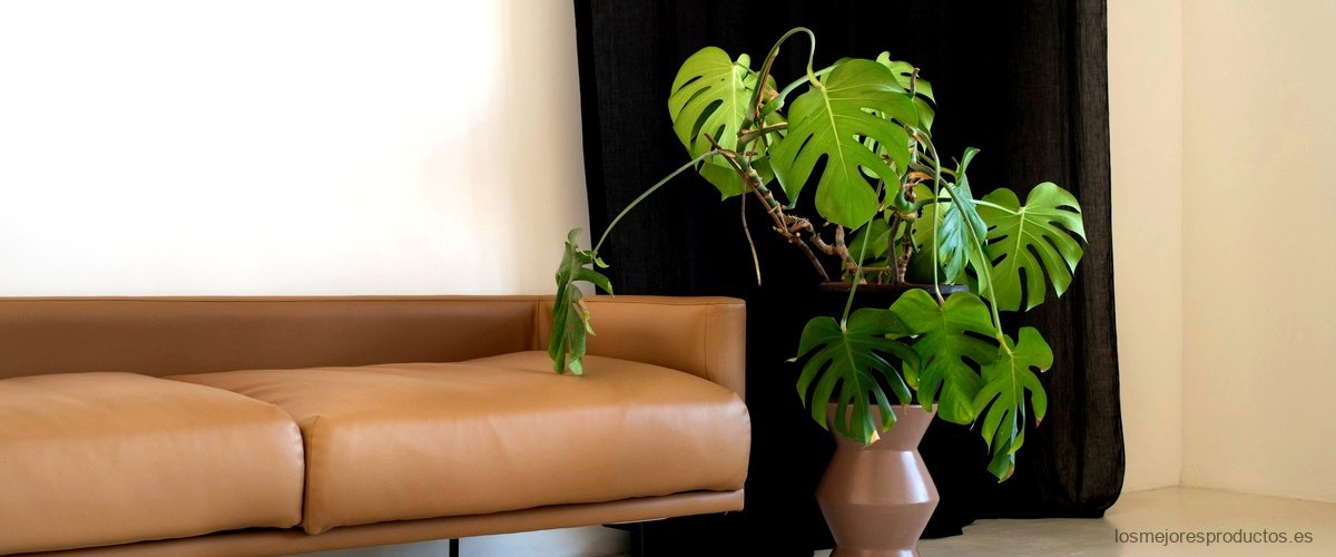 Crea un ambiente refrescante con cortinas verdes para tu salón