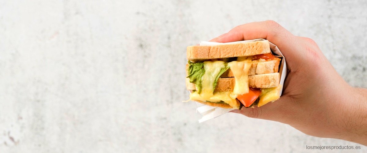 ¿Cuál es el precio de los paneles de sándwich?