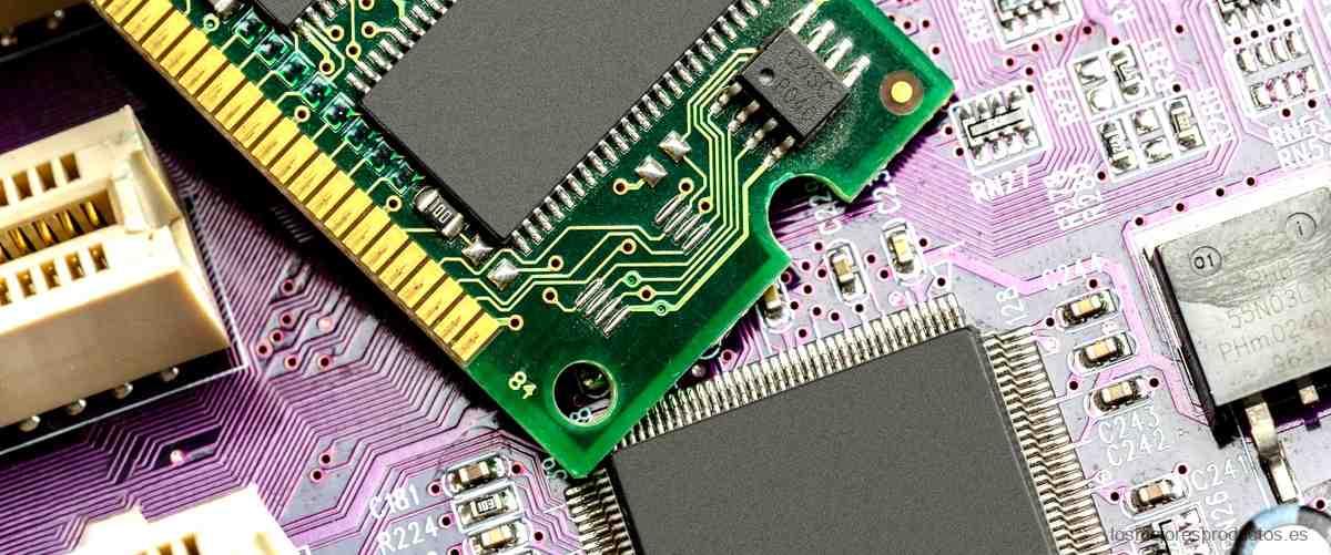 ¿Cuál es el precio del microchip?