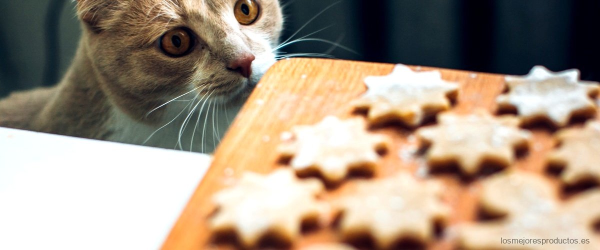 ¿Cuál es la diferencia entre el alimento Gosbi y otros piensos para gatos esterilizados?
