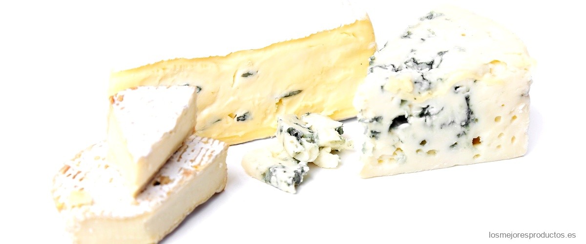 ¿Cuál es la diferencia entre el Gorgonzola y el queso azul?