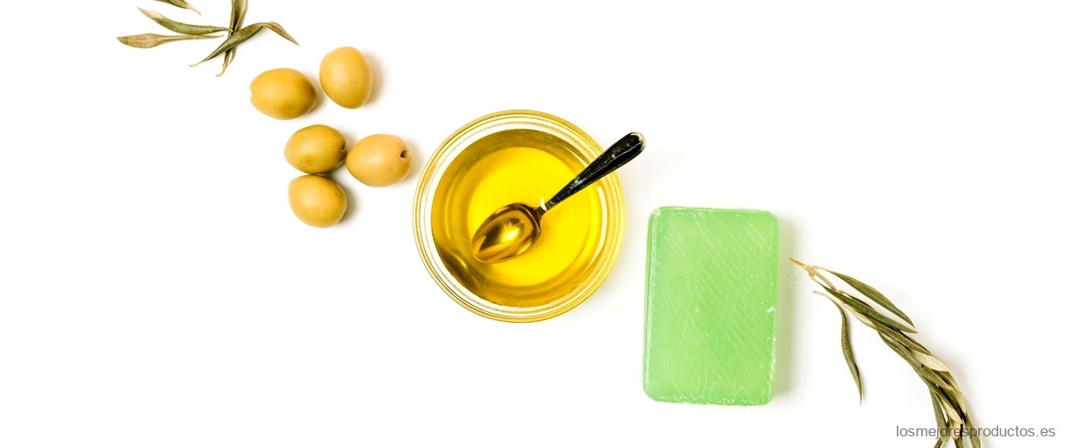 ¿Cuál es la diferencia entre el olivo y el acebuche?