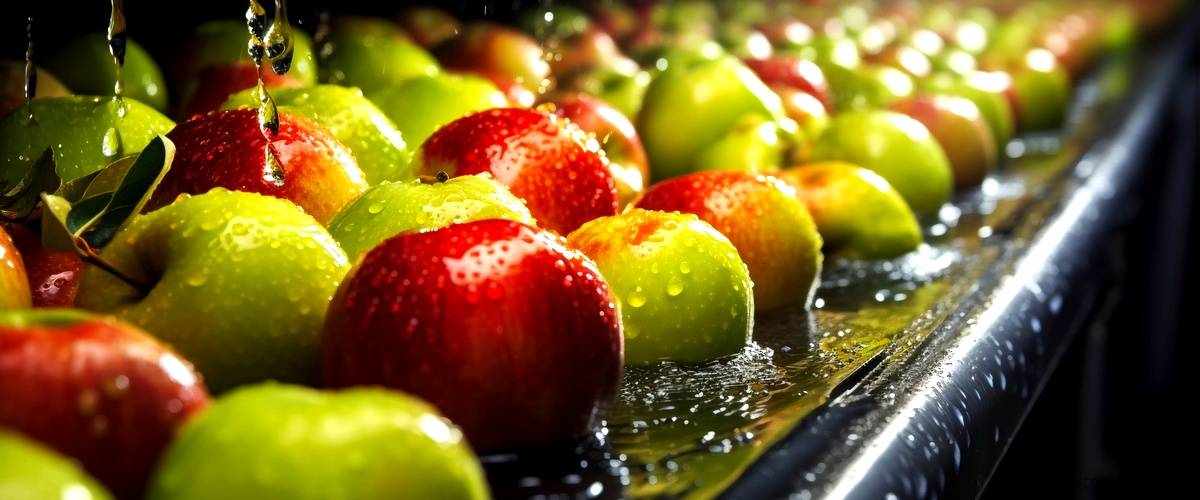 ¿Cuál es la diferencia entre el vinagre de manzana normal y el orgánico?