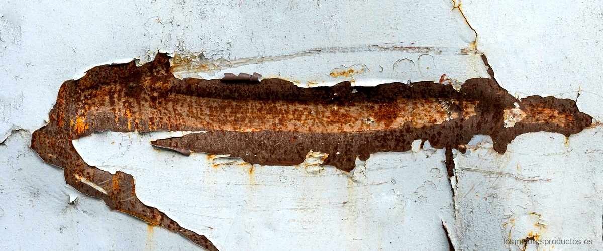 ¿Cuál es la diferencia entre las termitas y la carcoma?