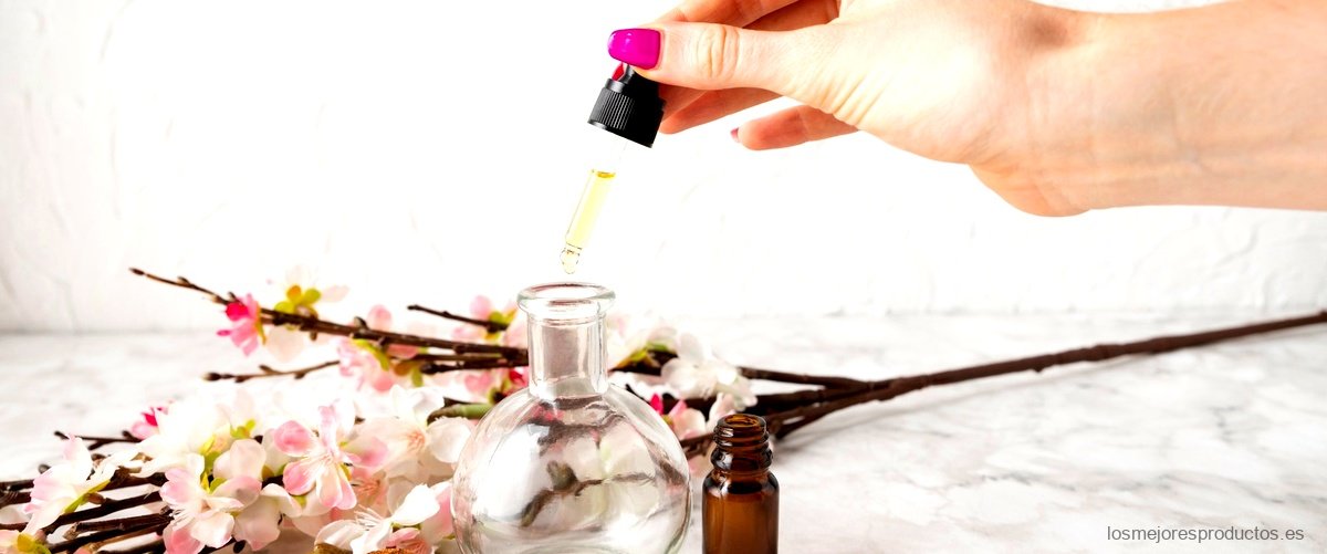 ¿Cuál es la propuesta de Perfumes new brand equivalencia?